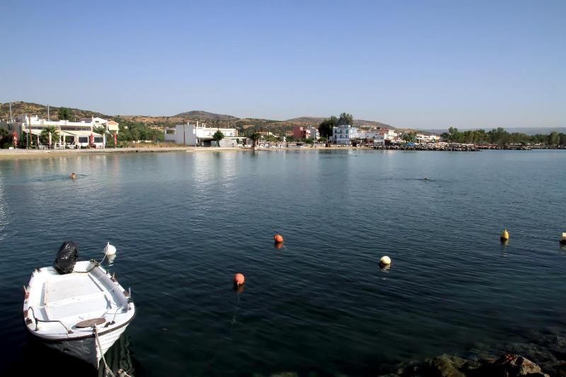 Hotel Stella - image 9