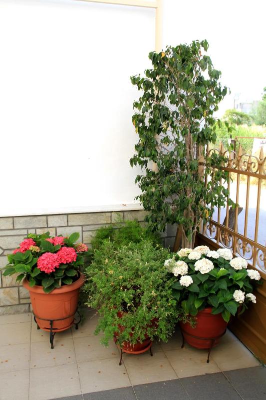 Hotel Stella - image 29