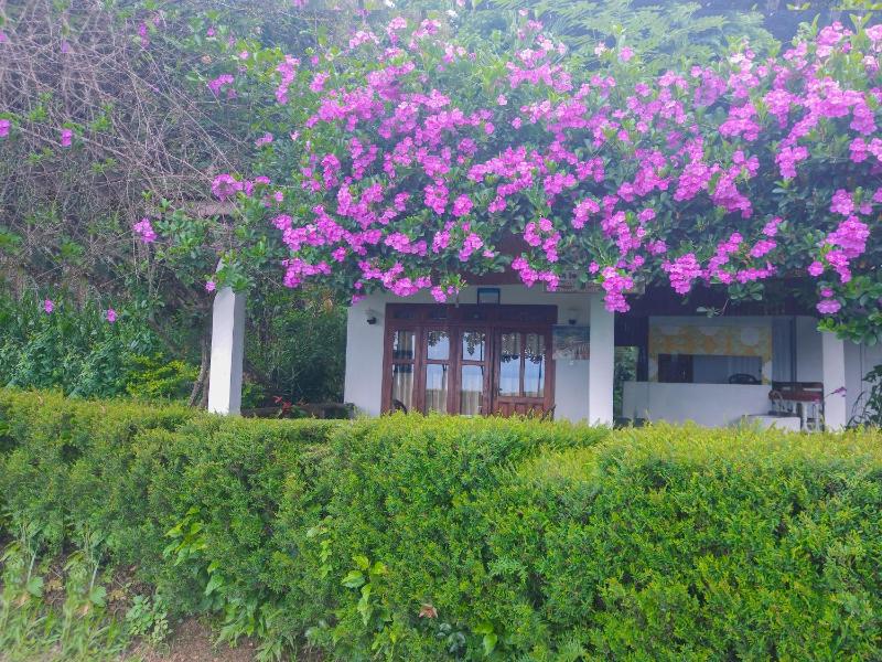 Ella Happy View Homestay - image 36