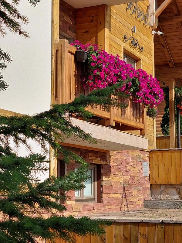 Special Offer- New Year SPA Package image 2