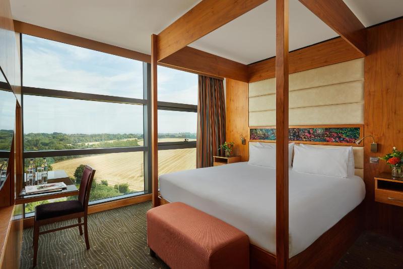 Superior Suite image 1