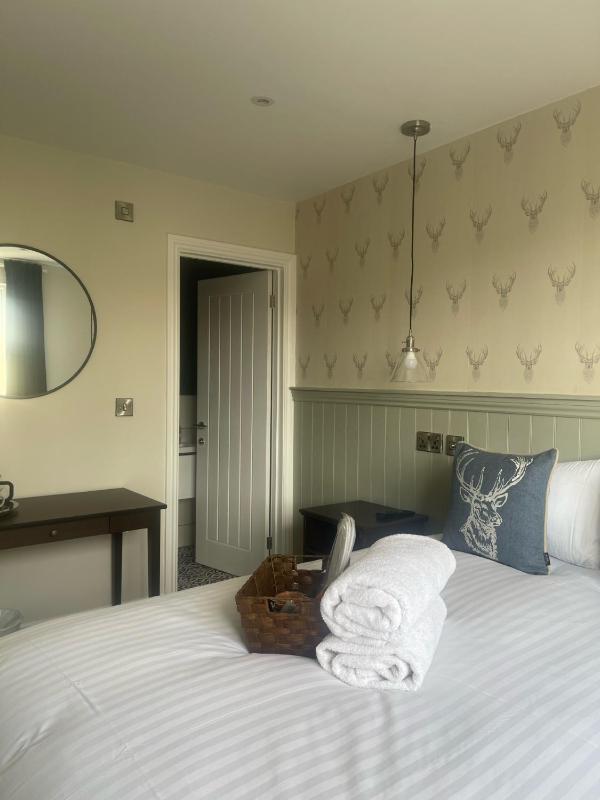 King Suite image 4
