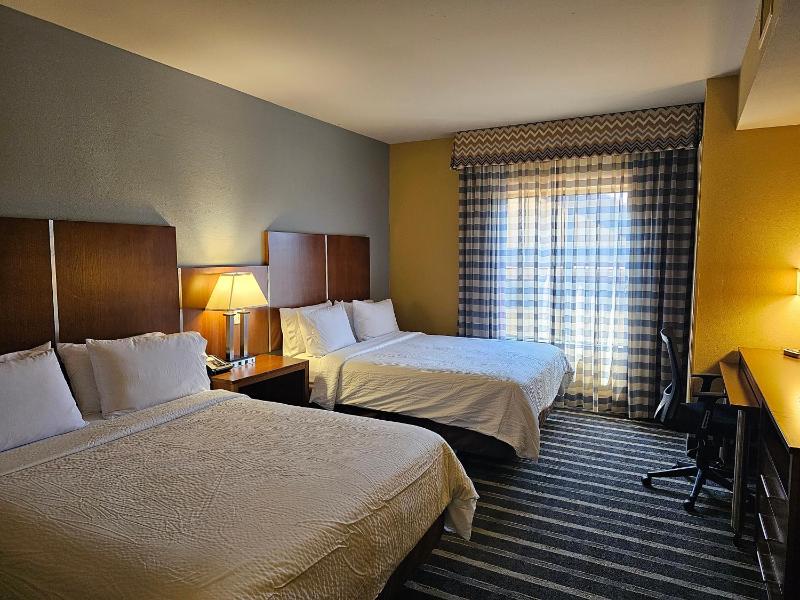 Standard Room image 4