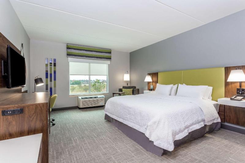 King Room with Roll-In Shower - Mobility and Hearing Access/Non-Smoking image 4