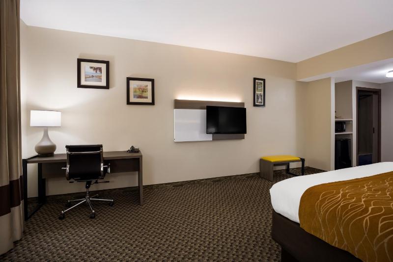 King Room - Non-Smoking image 4