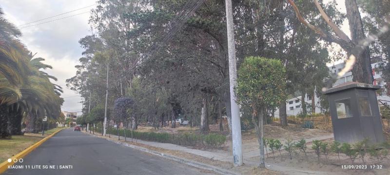 Urbanización El Condado. - image 6