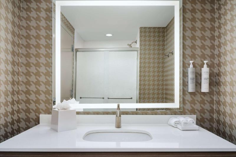King Studio Suite image 2