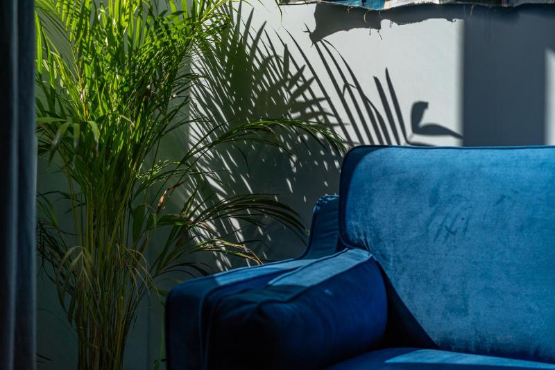 Le bleu Jean Denim Arènes - Une Nuit à Nîmes - image 13