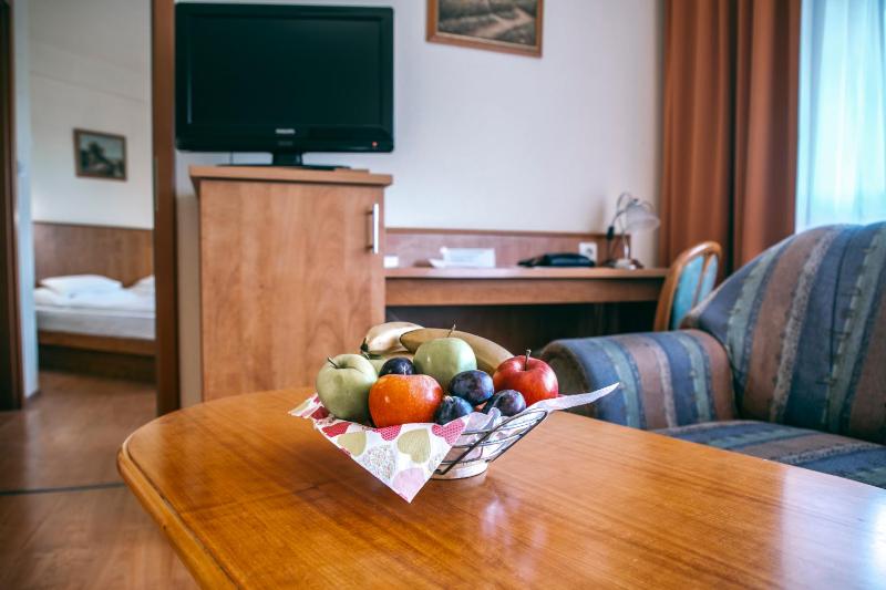 Standard Family Room with AC image 4
