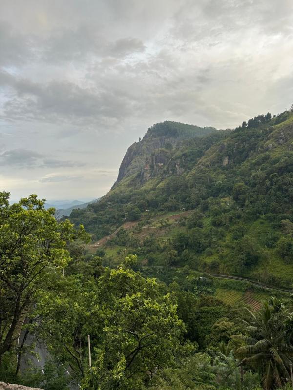Mandara Mount Hotel - image 1