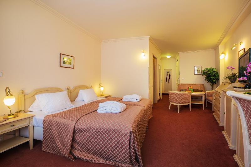 Interhotel Central - image 14
