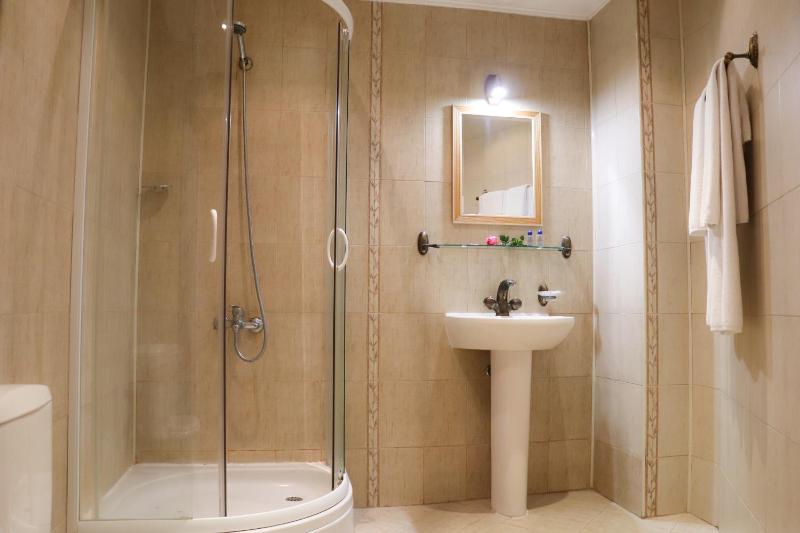 One-Bedroom Apartment image 3