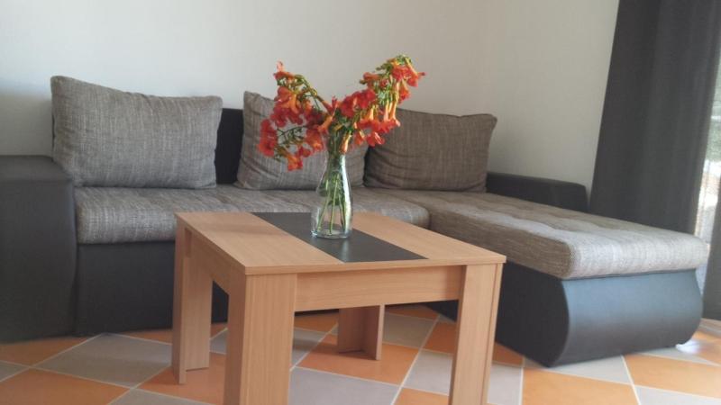 Superior Apartment image 3
