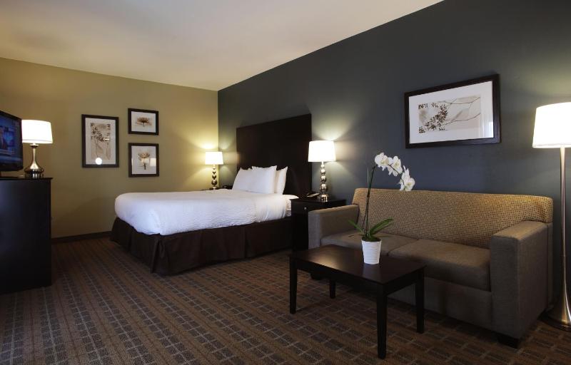 Executive King Room with Sofa Bed