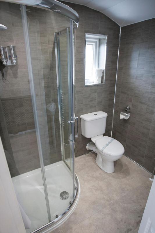 Deluxe Double or Twin Room image 2