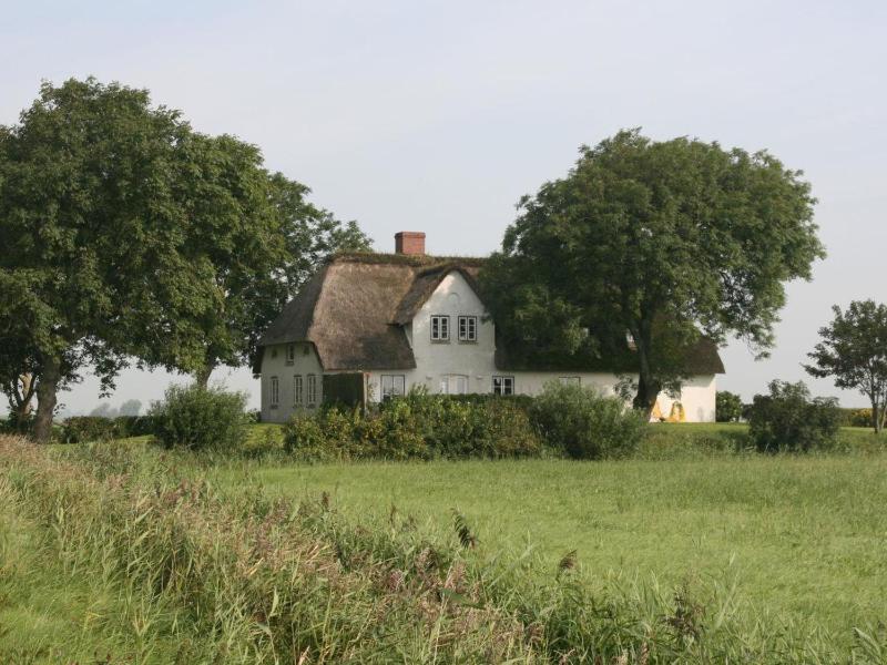 Reetdachhaus-Poppenbüll - image 15
