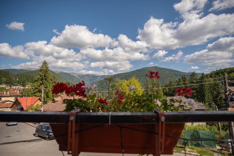Apartment with Mountain View image 2