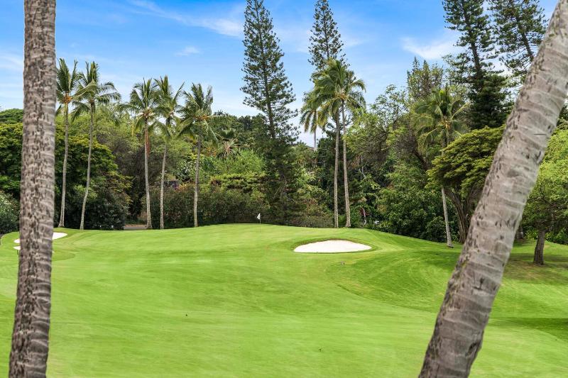 Country Club Villas 305 - image 13