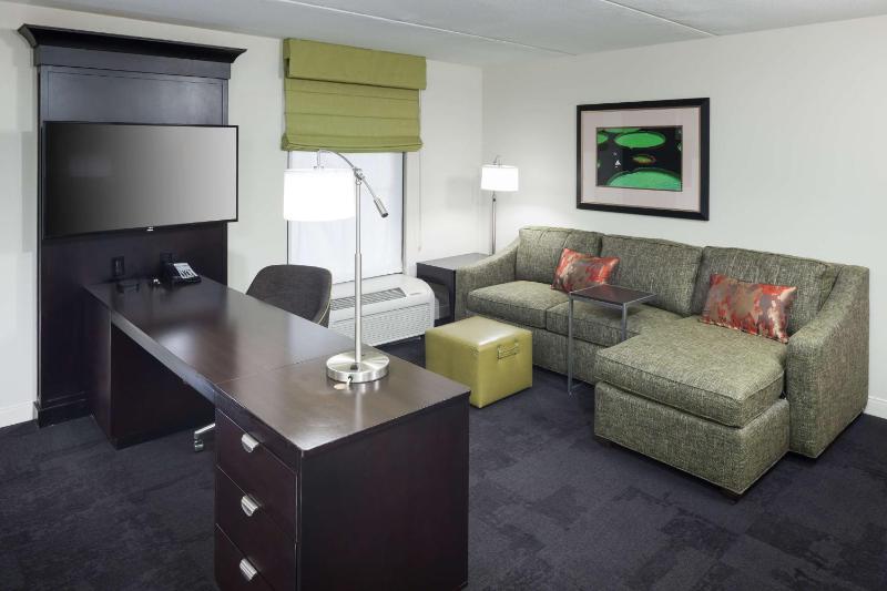 King Studio with Sofa Bed - Non-Smoking image 4