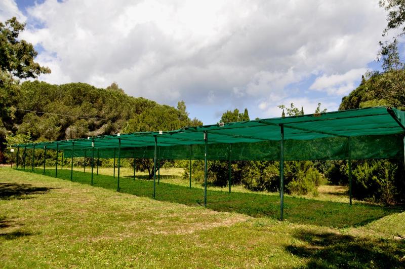 Hotel Giardino - image 29
