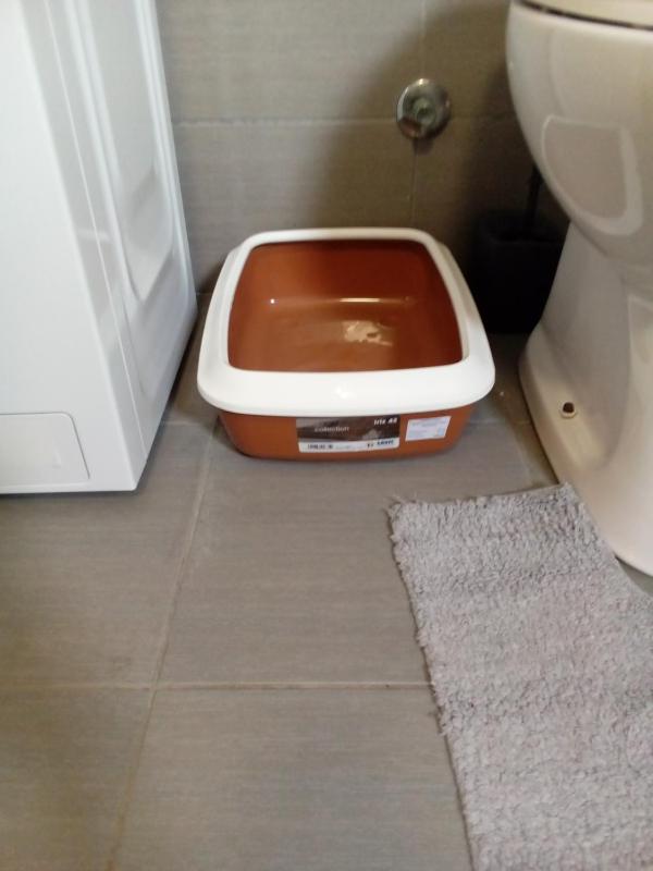 Spacious Studio 10 mins Walk to City Center l Washing Machine l Baby Crib l Breakfast - image 2