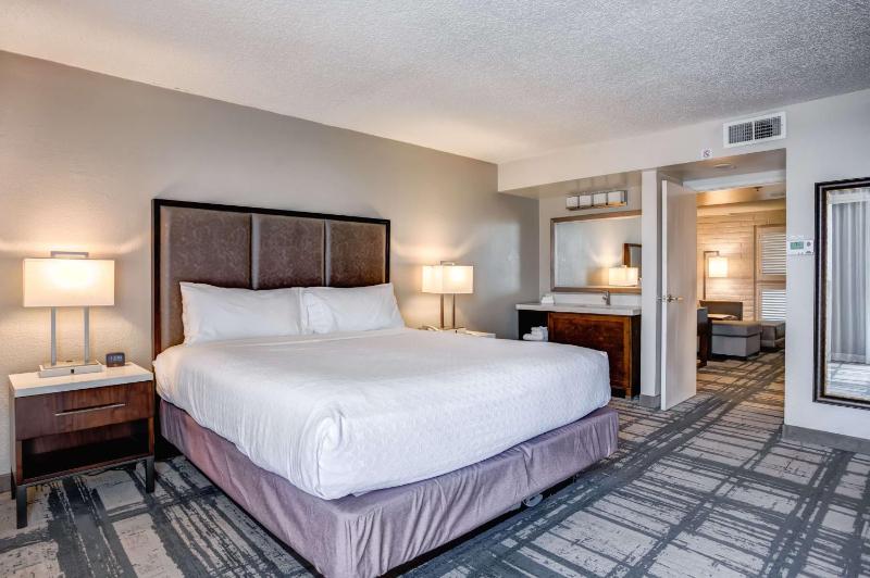 One-Bedroom King Suite - Hearing Disability Access image 3