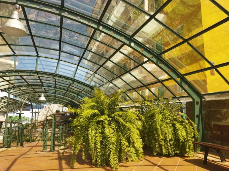 Studio (3 Adults) image 3