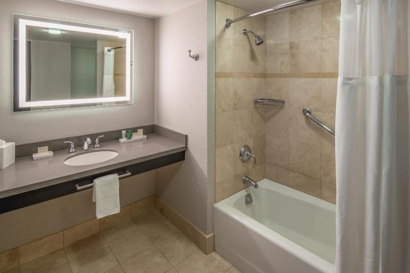 King Studio Suite image 2