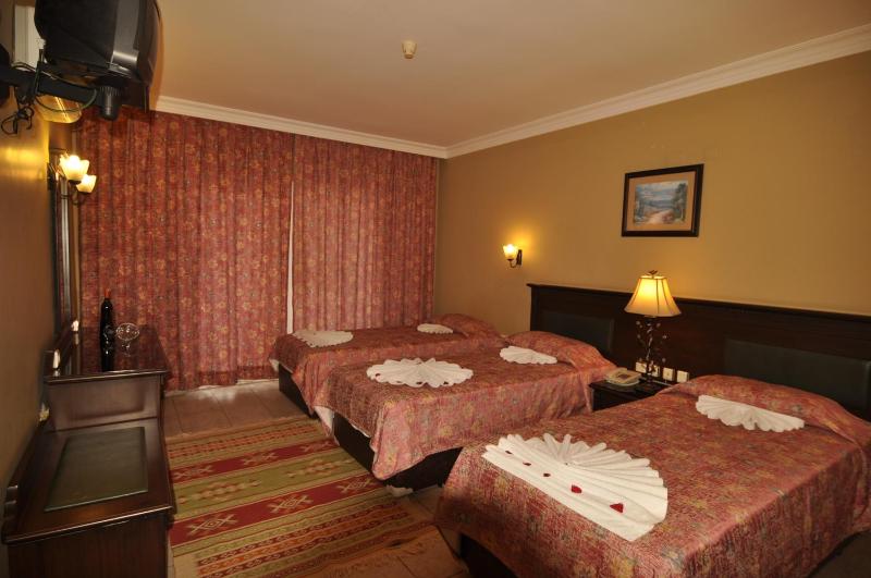 Family Room image 1