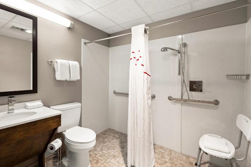  Superior Queen Room Disability Access Roll-In Shower Non-Smoking image 3