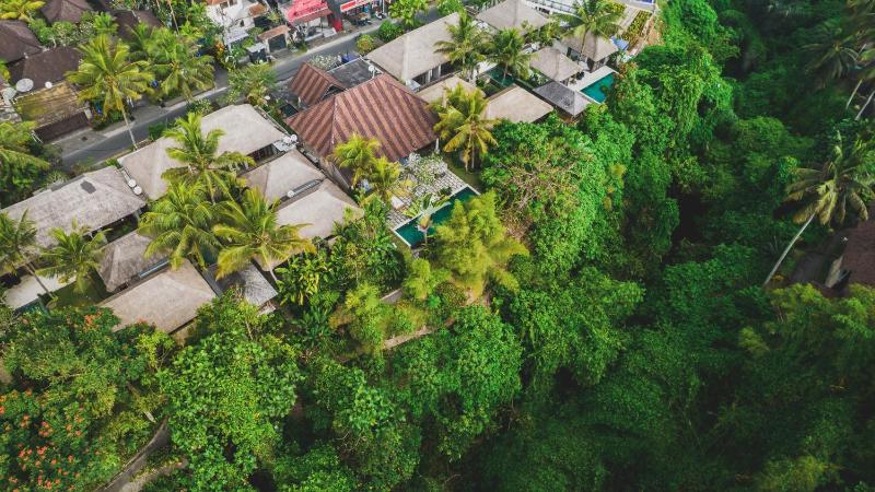 Luwak Ubud Villa & Jungle Suite - image 5