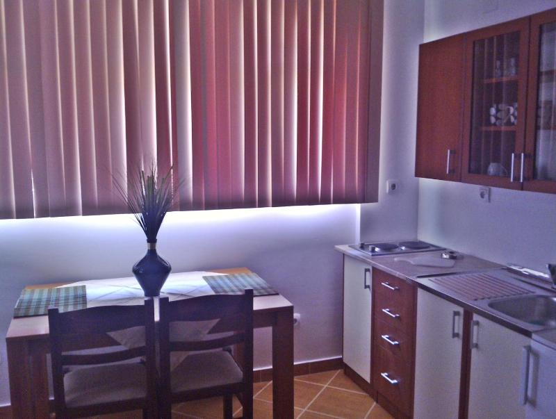 Studio Apartment image 3