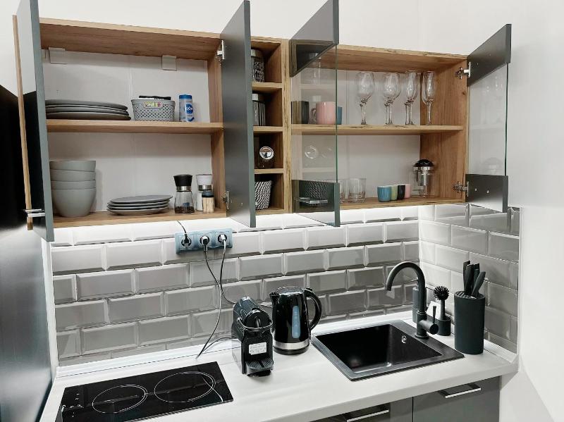 One-Bedroom Apartment image 2