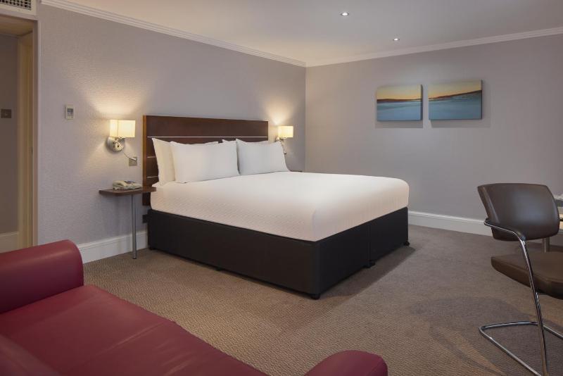 Deluxe King Room image 3