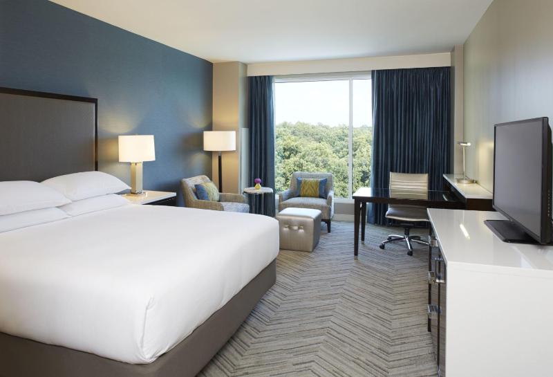 Deluxe Suite image 1