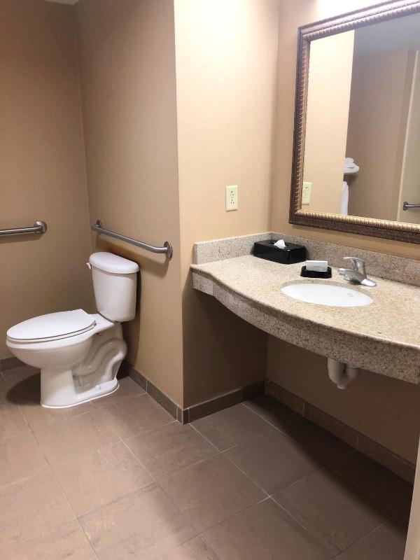King Room with Bath Tub - Mobility Accessible/Non-Smoking image 4