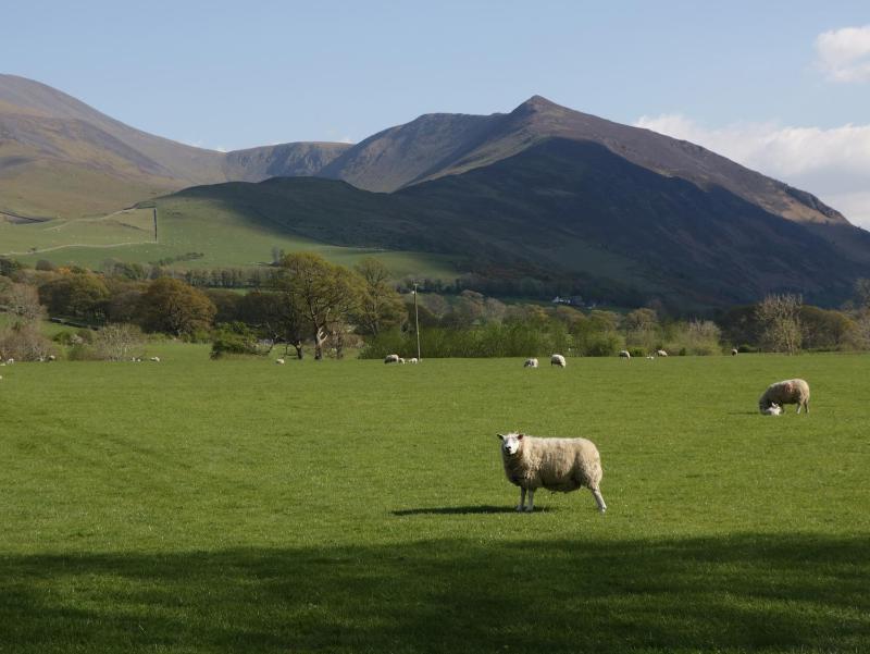Castle Crag - image 8