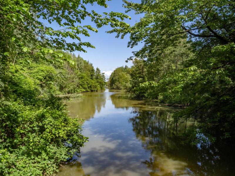 King Room with Garden View image 4