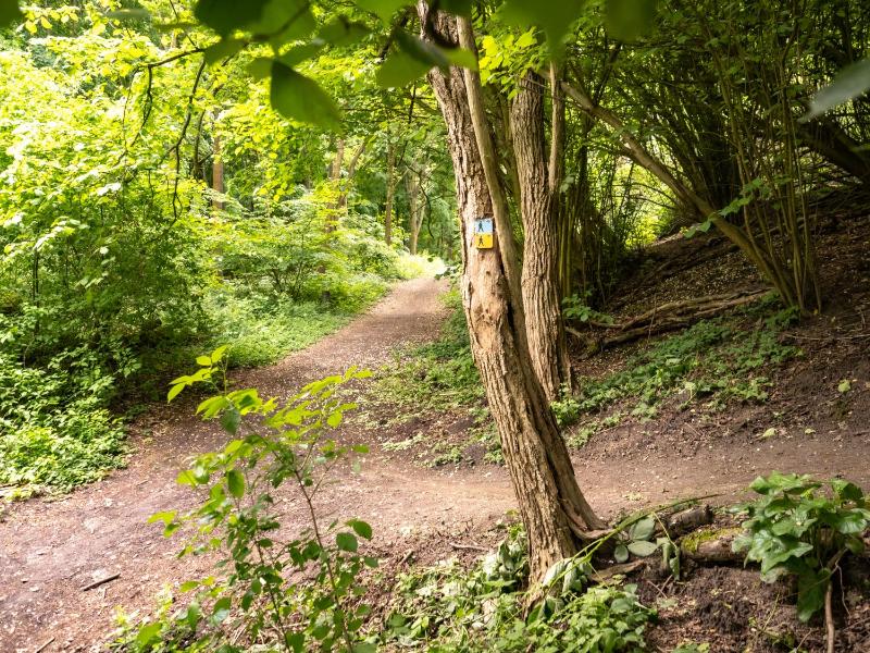 King Room with Garden View image 3