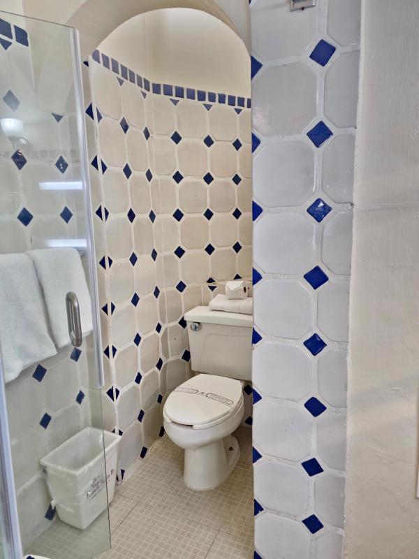 Hotel Posada Santa Fe - image 10