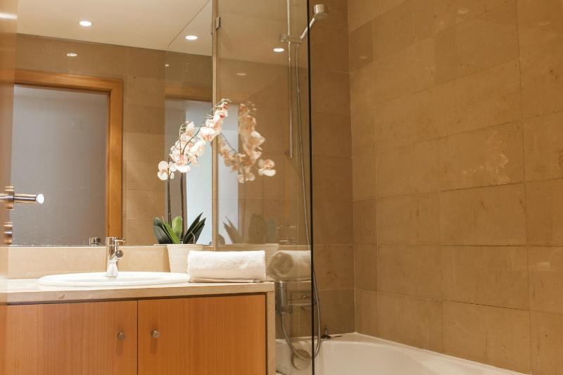 Superior One-Bedroom Apartment image 2