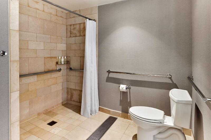 1 Bedroom Executive Suite, 1 King, Sofa bed, Balcony image 4