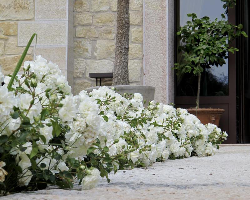 Delser Verona Manor House - image 15