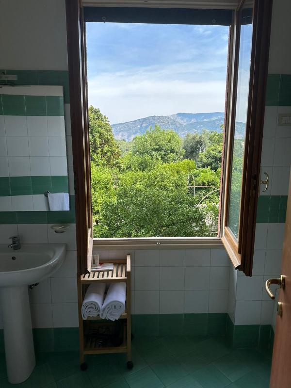 One-Bedroom Apartment image 4