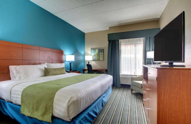 King Room with Roll-in Shower - Disability Acces image 1