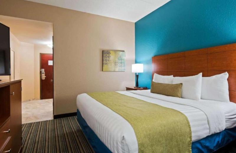 King Room with Roll-in Shower - Disability Acces image 4
