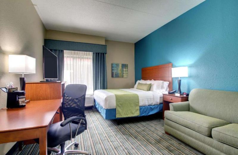 Queen Room - Disability Access image 1