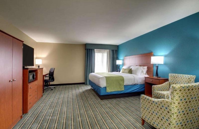 King Room - Non-Smoking image 3