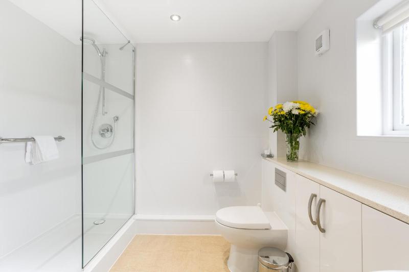 Two-Bedroom Apartment image 4