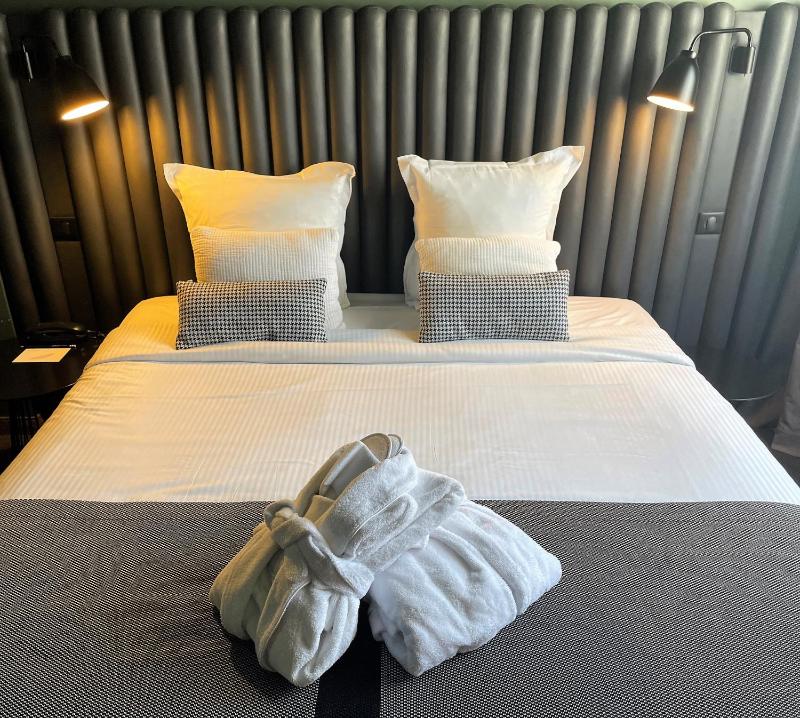 Deluxe Double Room image 1